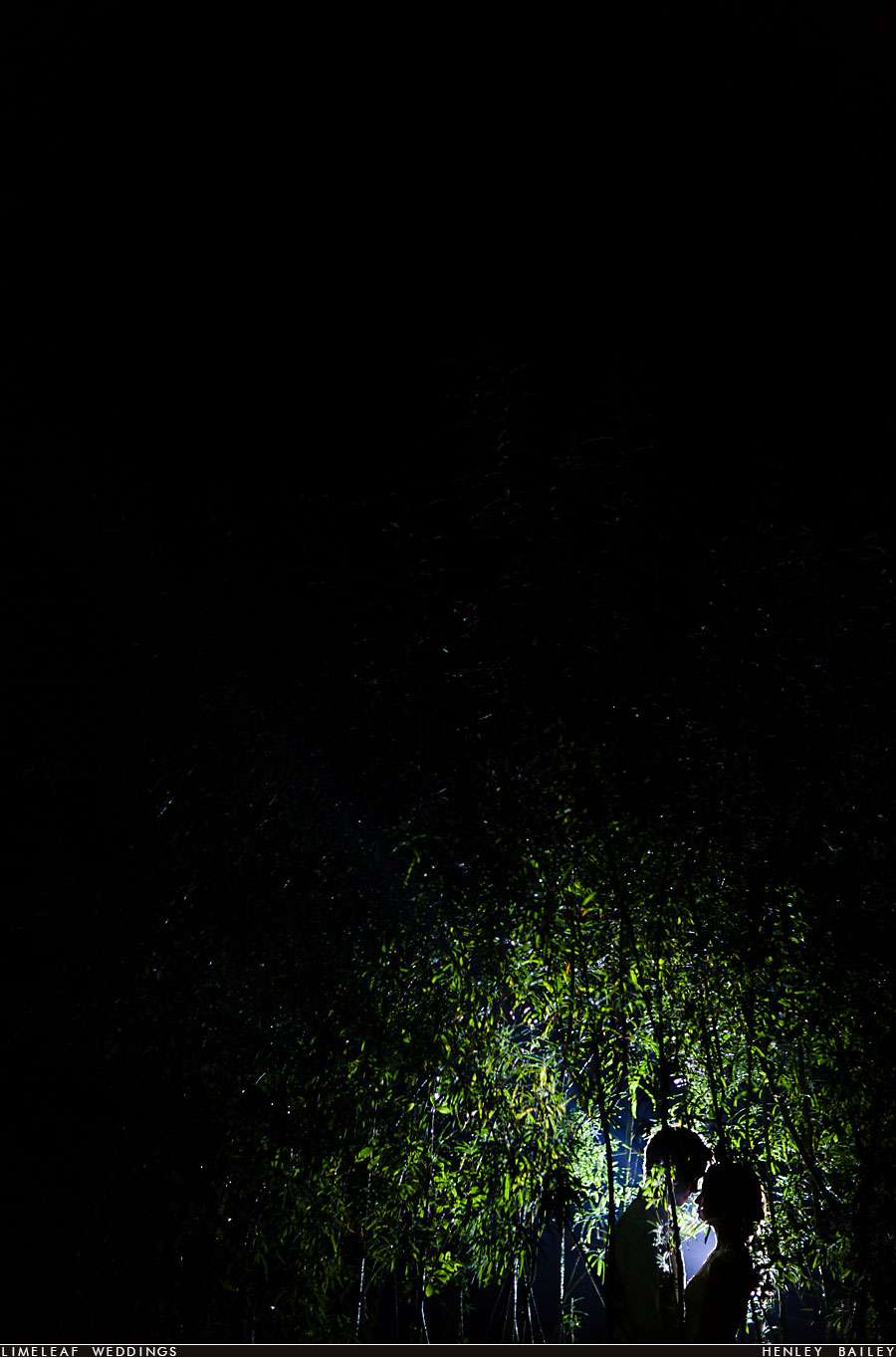 Bride and groom silhouetted in some bamboo on their wedding day