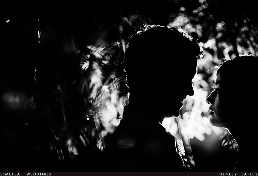 Bride and groom silhouetted in some bamboo on their wedding day